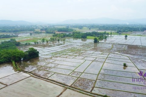 Terreno en Chiang Mai, Tailandia № 202221 - foto 3