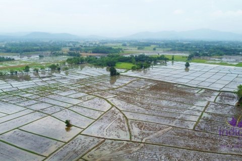 Terreno en Chiang Mai, Tailandia № 202221 - foto 10