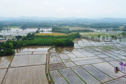 Terreno en Chiang Mai, Tailandia № 202221 - foto 11