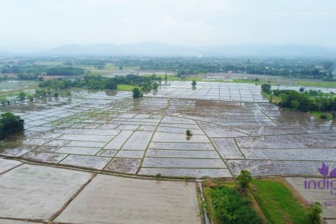 Terreno en Chiang Mai, Tailandia № 202221 - foto 4
