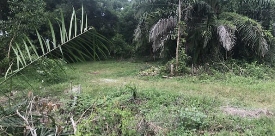 Terreno 13692 m2 en Phang Nga, Tailandia № 193919