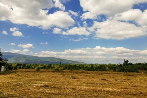Land in Lamphun, Thailand № 122822 - photo 3