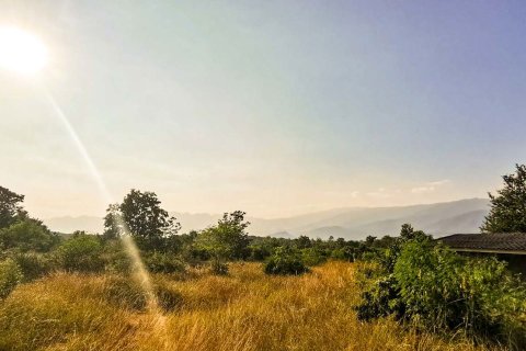 Land in Lamphun, Thailand № 122822 - photo 7