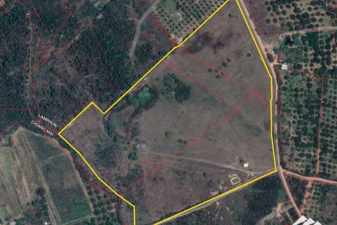 Land in Lamphun, Thailand № 122822 - photo 9