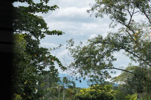 Chalet de 5 dormitorios en Chiang Mai, Tailandia № 147914 - foto 4
