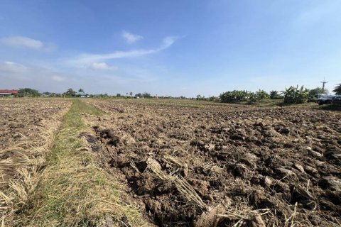 Land in Chiang Rai, Thailand № 119009 - photo 8