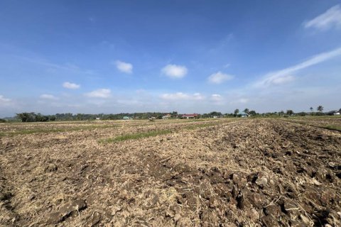 Land in Chiang Rai, Thailand № 119009 - photo 6