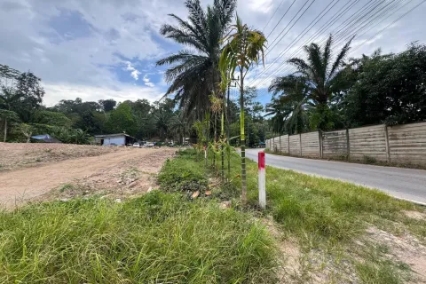 Terreno 1372 m2 en Kathu, Tailandia № 171016