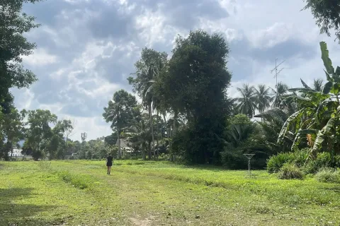 Grundstück in Ko Samui, Thailand 531 m2 № 159079 - Foto 14