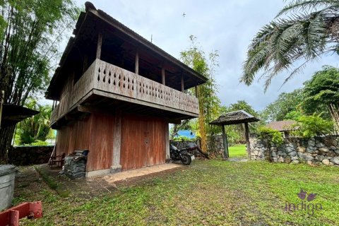 Terrain à Chiang Mai, Thaïlande 160 m2 № 149590