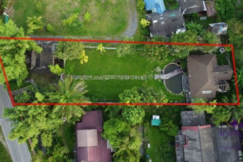 Земельный участок в Чиангмае, Таиланд 160м2 № 149590 - фото 18