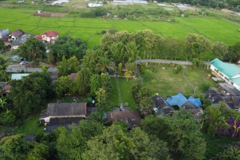 Земельный участок в Чиангмае, Таиланд 160м2 № 149590 - фото 23