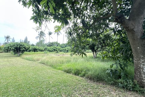 Terreno 4000 m2 en Hua Hin, Tailandia № 163202 - foto 6
