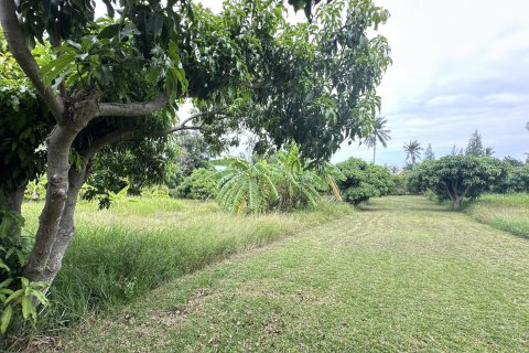 Terreno 4000 m2 en Hua Hin, Tailandia № 163202 - foto 7