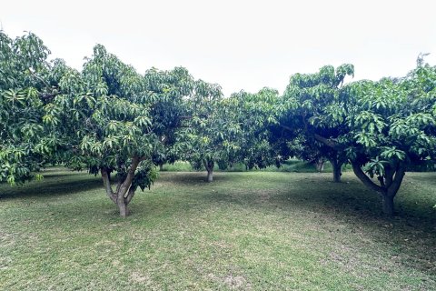 Terreno 4000 m2 en Hua Hin, Tailandia № 163202 - foto 2