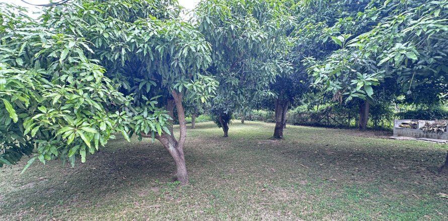 Terreno 4000 m2 en Hua Hin, Tailandia № 163202