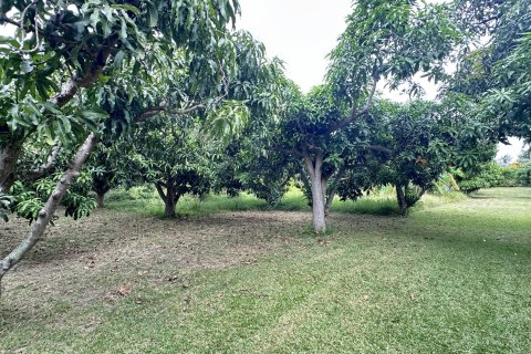 Terreno 4000 m2 en Hua Hin, Tailandia № 163202 - foto 5