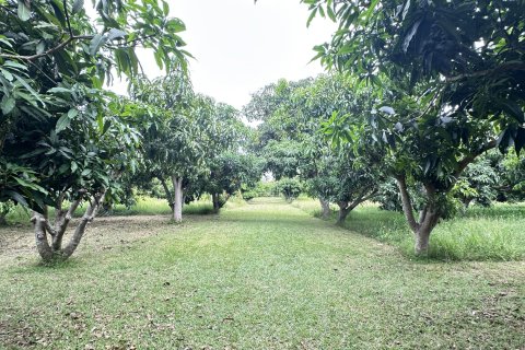 Terreno 4000 m2 en Hua Hin, Tailandia № 163202 - foto 4