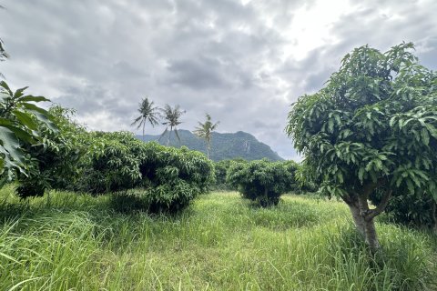 Terreno 4000 m2 en Hua Hin, Tailandia № 163202 - foto 11