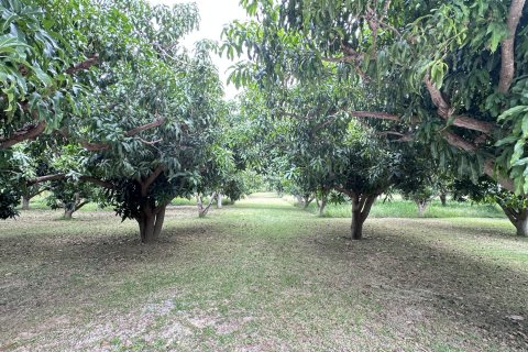 Terreno 4000 m2 en Hua Hin, Tailandia № 163202 - foto 3