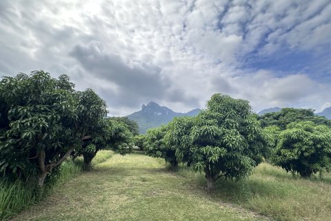 Terreno 4000 m2 en Hua Hin, Tailandia № 163202 - foto 9