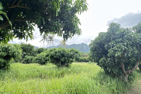 Terreno 4000 m2 en Hua Hin, Tailandia № 163202 - foto 10