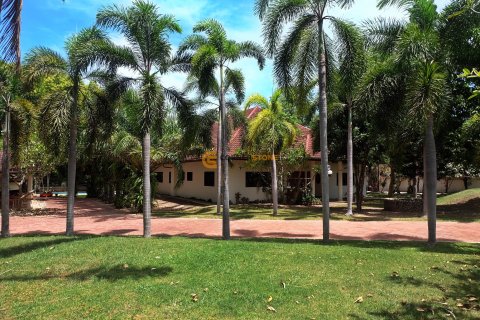 Estudio en Pattaya, Tailandia № 134371 - foto 16