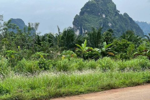 Land in Krabi, Thailand № 155783