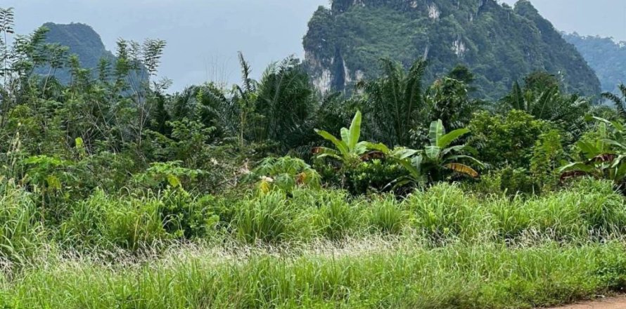 Terrain à Krabi, Thaïlande № 155783