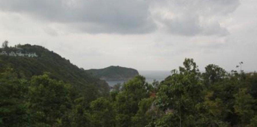 Terreno 12800 m2 en Surat Thani, Tailandia № 202490