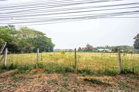 Terreno 5 m2 en Chiang Mai, Tailandia № 175568 - foto 8