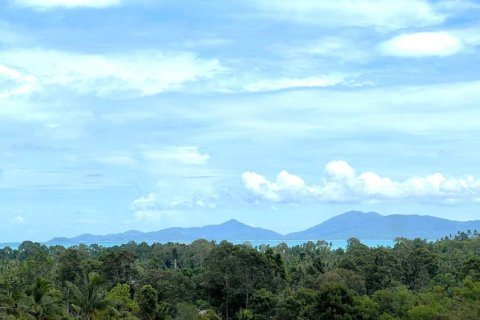Chalet de 3 dormitorios en Surat Thani, Tailandia № 135345 - foto 2