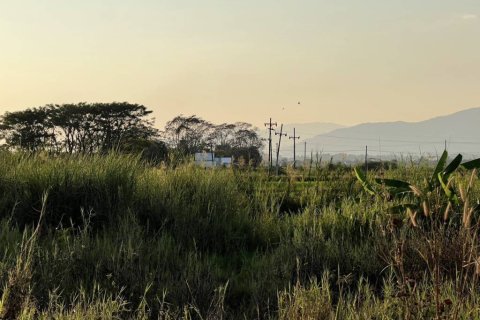Terreno en Chiang Rai, Tailandia № 172932 - foto 7