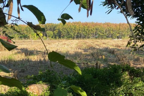 Land in Chiang Mai, Thailand № 162523