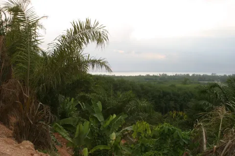 Land in Mai Khao, Thailand 8000 sq.m. № 156091 - photo 7