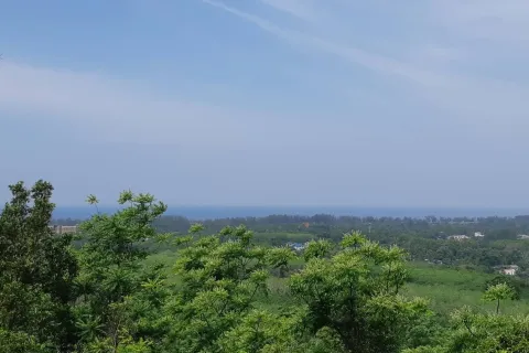 Land in Mai Khao, Thailand 8000 sq.m. № 156091 - photo 20