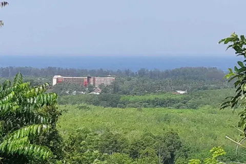Land in Mai Khao, Thailand 8000 sq.m. № 156091 - photo 2