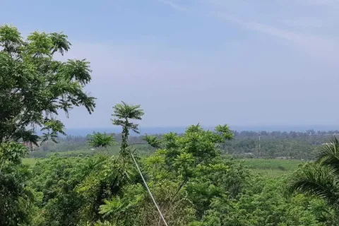 Land in Mai Khao, Thailand 8000 sq.m. № 156091 - photo 18