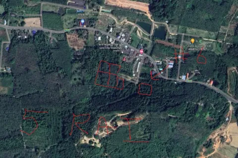 Land in Mai Khao, Thailand 8000 sq.m. № 156091 - photo 13