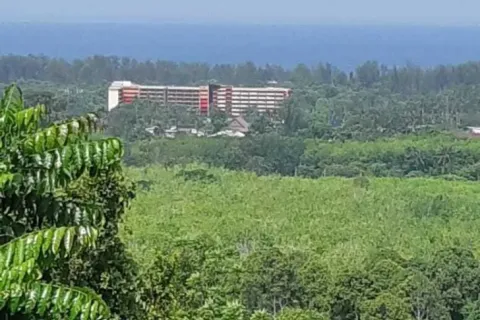 Land in Mai Khao, Thailand 8000 sq.m. № 156091 - photo 22