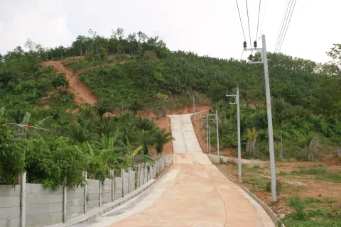 Land in Mai Khao, Thailand 8000 sq.m. № 156091 - photo 10