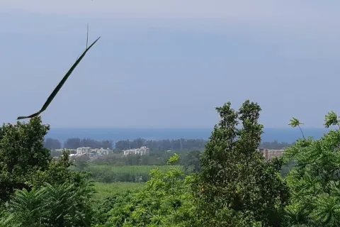Grundstück in Mai Khao, Thailand 8000 m2 № 156091