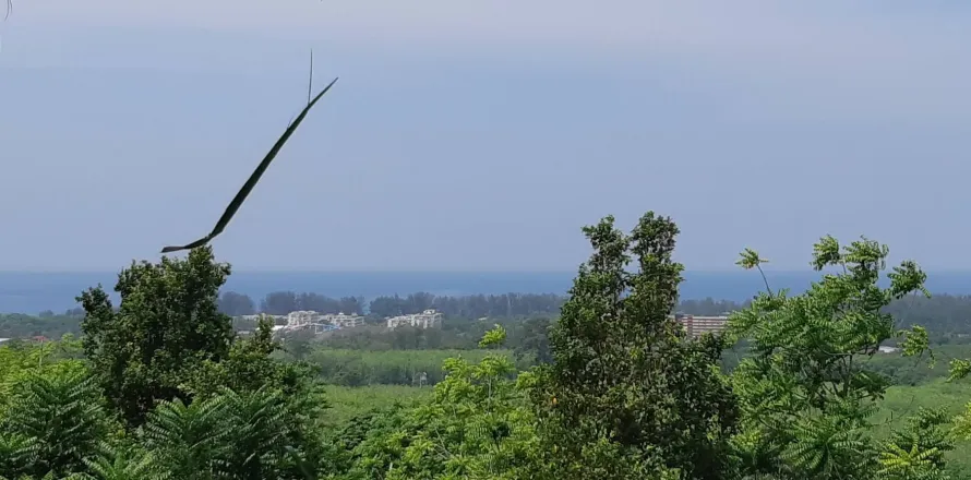 Land in Mai Khao, Thailand 8000 sq.m. № 156091