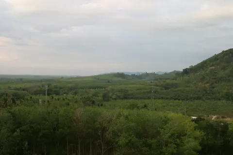 Land in Mai Khao, Thailand 8000 sq.m. № 156091 - photo 8