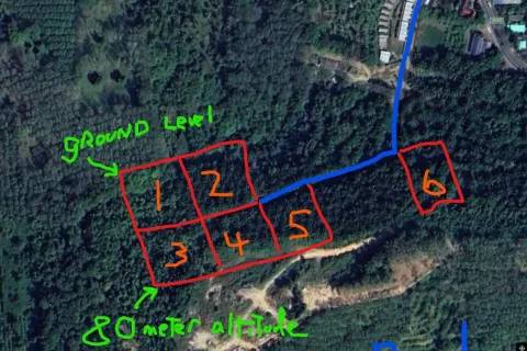 Land in Mai Khao, Thailand 8000 sq.m. № 156091 - photo 12