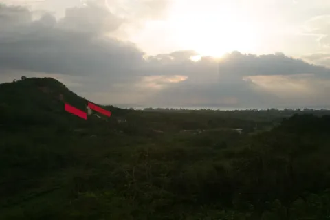 Land in Mai Khao, Thailand 8000 sq.m. № 156091 - photo 9