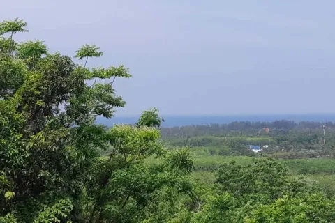 Land in Mai Khao, Thailand 8000 sq.m. № 156091 - photo 17