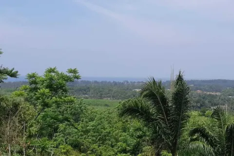 Land in Mai Khao, Thailand 8000 sq.m. № 156091 - photo 19
