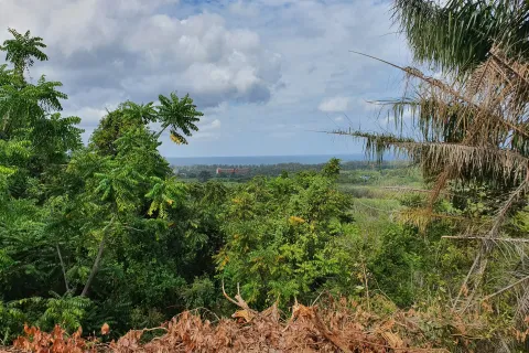 Land in Mai Khao, Thailand 8000 sq.m. № 156091 - photo 3
