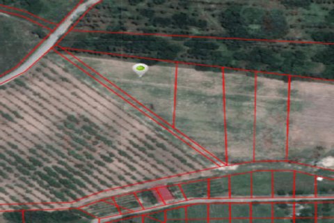 Terreno 3456 m2 en Chonburi, Tailandia № 202757 - foto 5